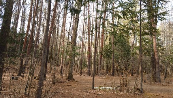 河口湖オートキャンプ場